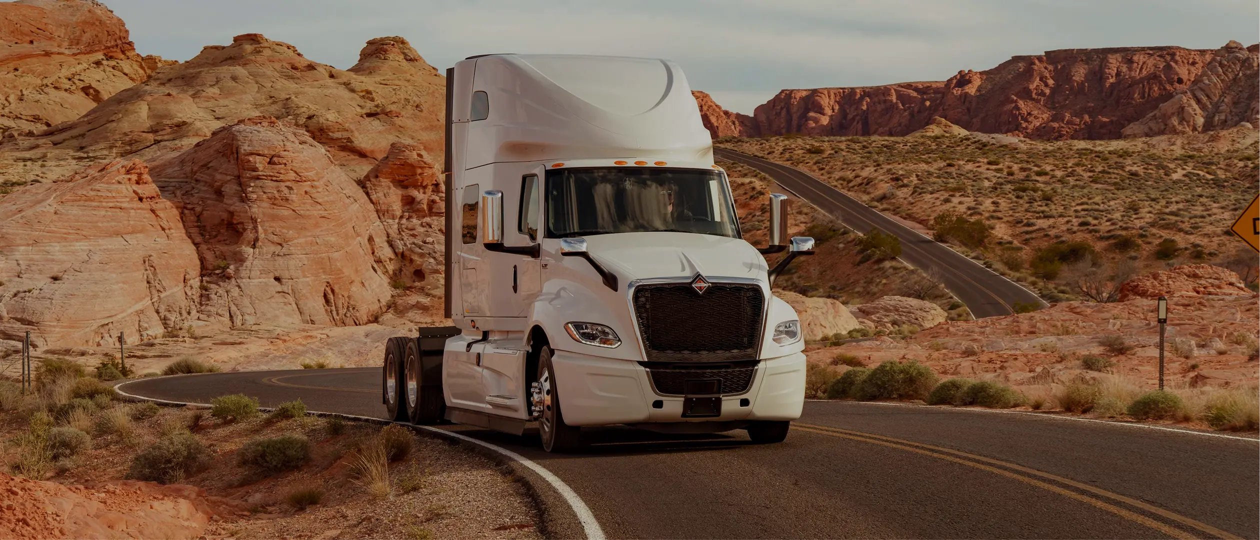 Camiones_LT (2).webp